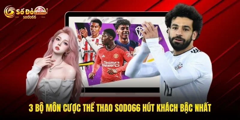 3 bộ môn cược thể thao SODO66 hút khách bậc nhất 3 bộ môn cược thể thao SODO66 hút khách bậc nhất