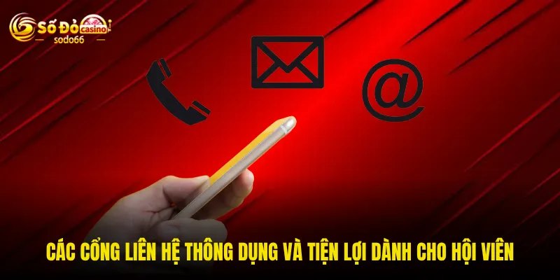 Các cổng liên hệ thông dụng và tiện lợi dành cho hội viên