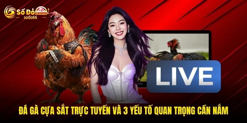 Đá Gà Cựa Sắt Trực Tuyến Và 3 Yếu Tố Quan Trọng Cần Nắm
