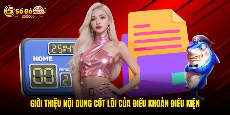 Giới thiệu nội dung cốt lõi của điều khoản điều kiện