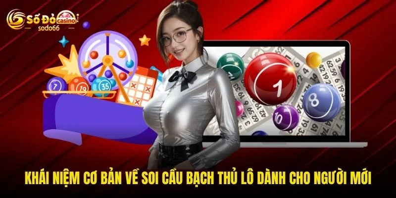 Khái niệm cơ bản về soi cầu bạch thủ lô dành cho người mới