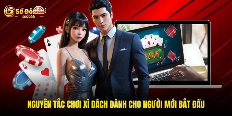 Nguyên tắc chơi xì dách dành cho người mới bắt đầu