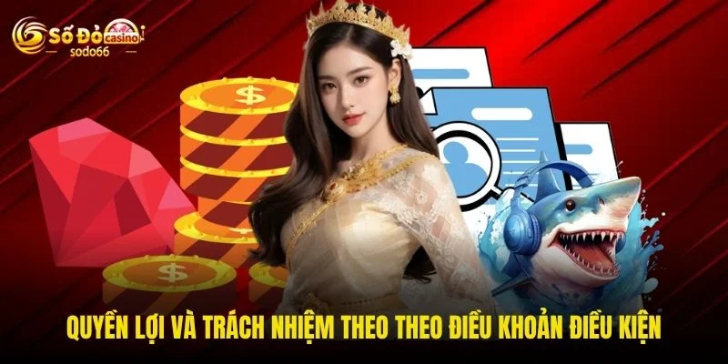 Quyền lợi và trách nhiệm theo theo điều khoản điều kiện